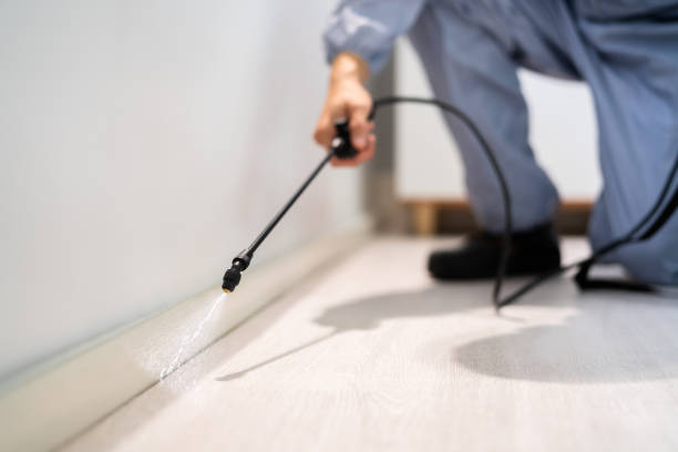 Licensed Termite Control service in Jenkins County County, GA - Nex Pest Control