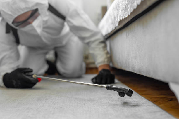 Professional Termite Control technician working in Jenkins County County, GA